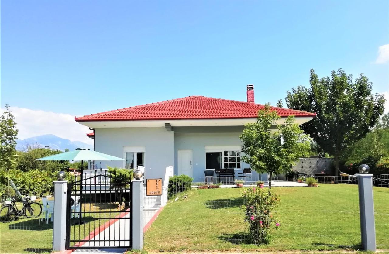 Deppy'S House Κοντά Στα Λουτρά Πόζαρ Apartman Chrysi Kültér fotó