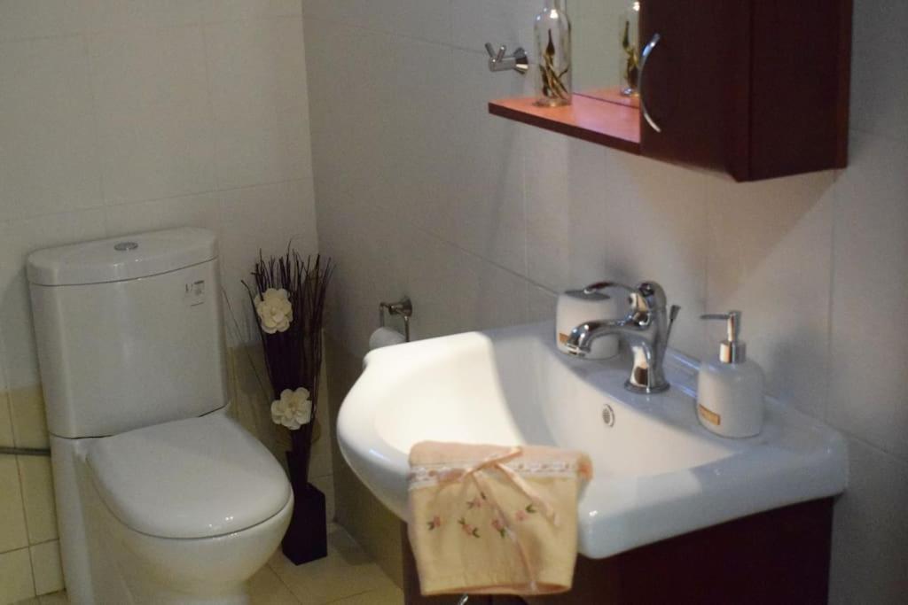 Deppy'S House Κοντά Στα Λουτρά Πόζαρ Apartman Chrysi Kültér fotó