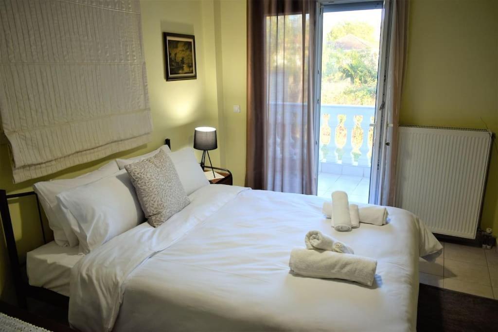 Deppy'S House Κοντά Στα Λουτρά Πόζαρ Apartman Chrysi Kültér fotó