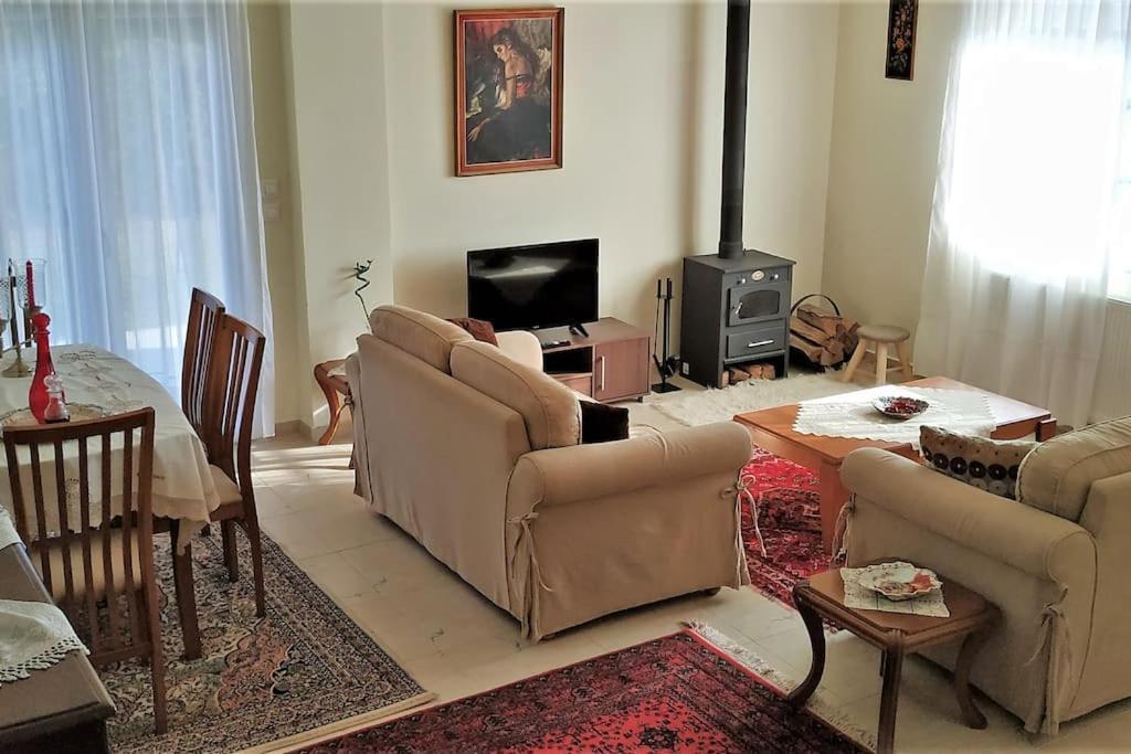 Deppy'S House Κοντά Στα Λουτρά Πόζαρ Apartman Chrysi Kültér fotó